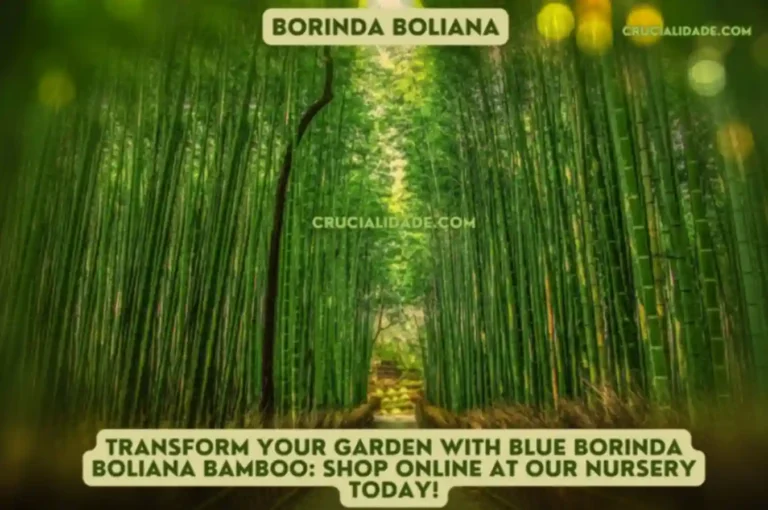 Transform Your Garden with Blue Borinda boliana Bamboo: Shop Online at our Nursery Today!